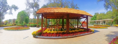 先睹为快！德州锦绣川景区：百菊盛宴，等您来赏