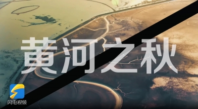 瞰，齐鲁黄河之秋！风光旖旎换“金”装