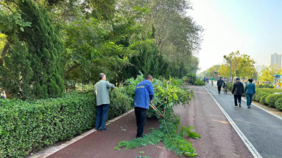 德州锦绣川景区：“四部曲”呵护苗木安全过冬