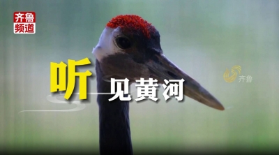 100秒·遇见黄河 |“五感黄河”之 听见黄河