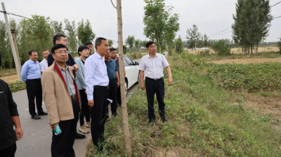 德州市自然资源局赴武城夏津调研耕地保护及农村房地一体确权登记工作