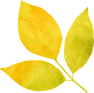 齐河：建设“公园城市”加码民生幸福 