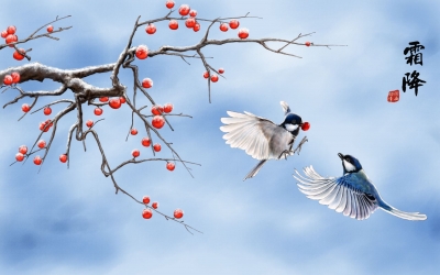 德报说节气 | 今日霜降！秋已暮，露成霜，记得添衣