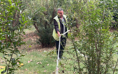 德城园林：抓住黄金时期 做好秋季绿化管理