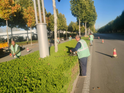 德州园林：精细管养，装扮马拉松赛道 