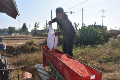 关注秋收 | 新力量、新本领、新身份——丰收田野上的“三新”农人