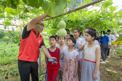 临邑：共富工坊架起乡村产业融合发展桥梁