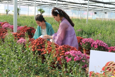 村村有好戏 | 庆云县东辛店镇乡村振兴特色农产品展销暨首届菊花文化节开幕