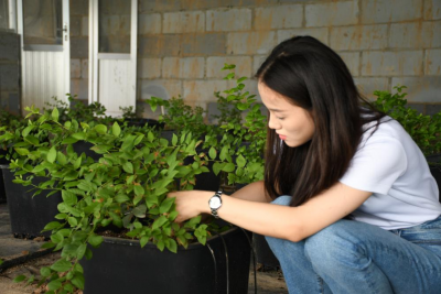 乐陵市寨头堡乡：引进“人才活水” 浸润乡村沃土