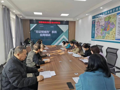 陵城区边临镇 | 打造“无证明”办事大厅 群众享“秒批秒办”政务服务