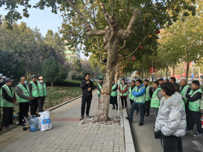 德州园林：开展植物防寒技术培训 保障苗木温暖过冬