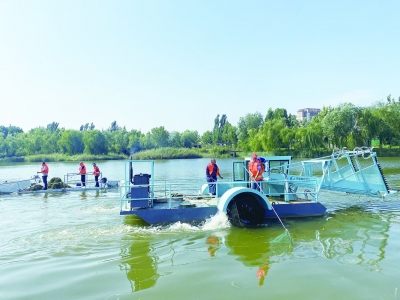 齐河：“云上巡河”守护碧水清波