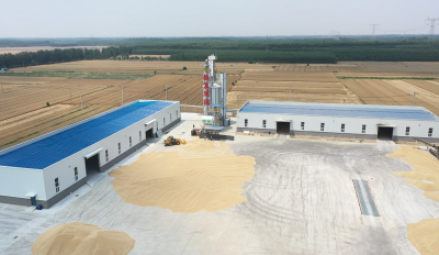 夏津县供销社助力17个村集体增收173万元 | “土地全程托管”村民“坐”享分红