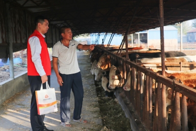 平原农商银行：助力养殖户走上致富路