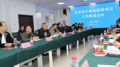 全省肉牛增量提质行动工作推进会议在乐陵举行