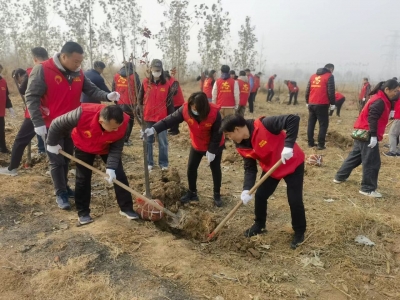 德州市城市管理局开展“每人能种三棵树 一个单位一片林”冬季植树活动