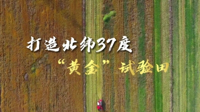 乡村振兴齐鲁样板 村村有好戏 | 禹城市：打造北纬37度“黄金”试验田