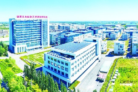 从“点上开花”到“链上成景” 德州市医药及康养产业高地正在崛起