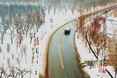 瞰德州：乐陵枣林的一年四季