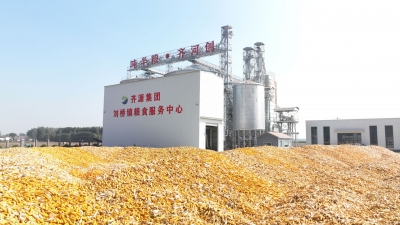 深入推进“吨半粮”产能建设 | 齐河：5公里内能烘干，3公里内可售粮
