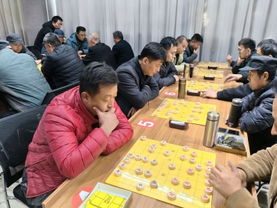和美乡村 ，“棋”开得胜！ 宁津县举办首届村象棋个人挑战赛
