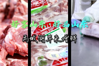 寒冷冬季 好客禹城邀您品尝鲜美湖羊