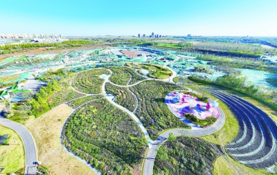 直击重点项目一线 | 科技公园绿化养护忙