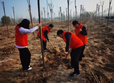 德州市住房公积金管理中心：开展“每人种三棵树 一个单位一片林”义务植树活动