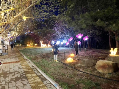光华漫溯 璀璨天衢！德州天衢新区：道路亮化项目点亮居民“幸福路”
