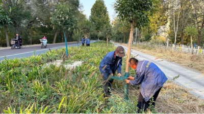 德州锦绣川景区：树木穿衣御寒潮  温暖过冬有保障  