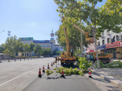 德州园林：秋冬修剪正当时 守护来年绿荫浓