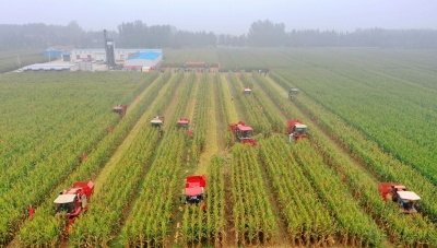 德州市供销社系统全托管服务面积达15.5万亩 | 农田“吃套餐” 农民丰产又增收