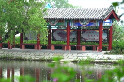 乡村振兴齐鲁样板 村村有好戏 | 齐河县赵官镇：投身“乡镇百村”建设 见证乡村蜕变