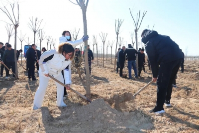 德州市委政法委、禹城市委政法委联合开展“联动共植平安林 齐心共建生态城”义务植树活动