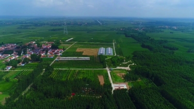 乡村振兴齐鲁样板 村村有好戏 | 临邑县：昔日盐碱地 养出“致富虾”