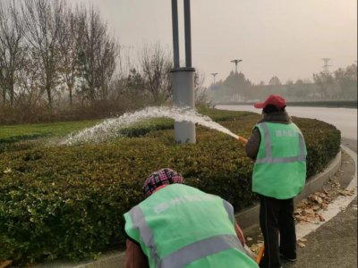 德州园林：精心做好绿化养护 确保苗木“安心”过冬  