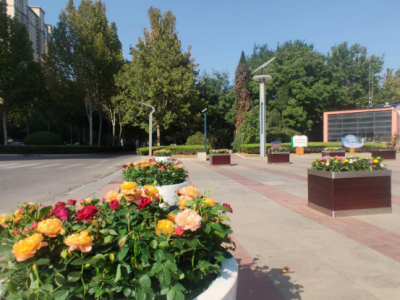 德州长河公园：缤纷花箱写新意，立体绿化增色彩  