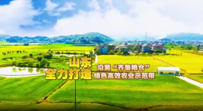 权威发布｜落实黄河重大国家战略，山东全力打造沿黄“齐鲁粮仓”和绿色高效农业示范带