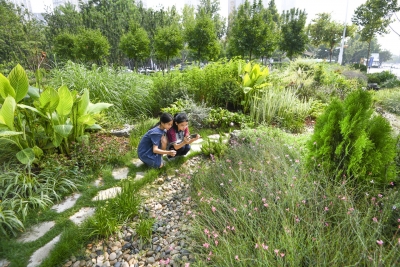 德州市探索园林绿化废弃物循环再利用，中心城区今年累计处理千余吨