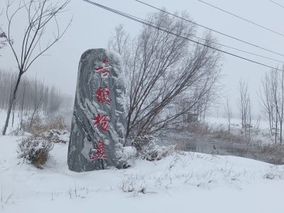 说说俺们的村史 | 乐陵市杨盘村：千年古镇 精忠报国薪火传