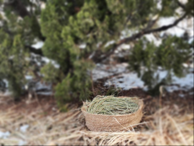 暖心！德州长河公园设置人工鸟巢为鸟儿安家