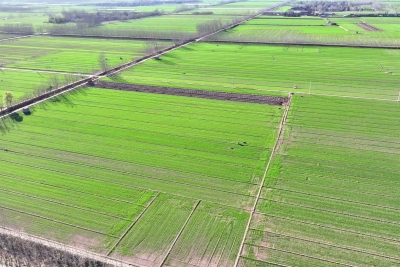 乡村振兴齐鲁样板 村村有好戏 | 吕支书家门前的那条河——乐陵从“向天要水”到科学调水，兴修水利助粮食丰产