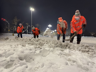 以雪为令、闻雪而动！德州党员干部群众扫雪进行时 