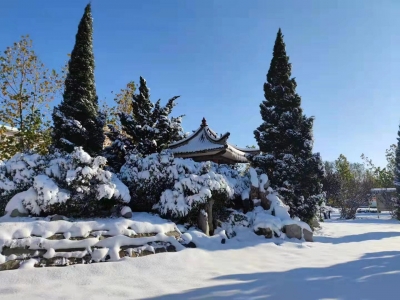 诗｜张建华：春雪