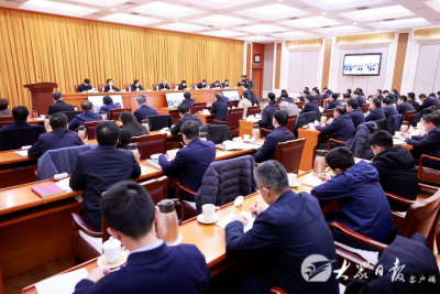 山东省主题教育专项整治工作推进会召开