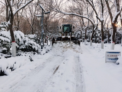 组诗｜李荣田：大雪