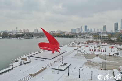 德州雪景美爆了！每一张都是壁纸