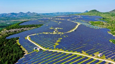 山东：光伏发电助力绿色低碳发展