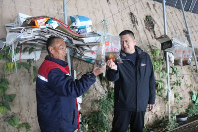 临邑县临南镇：雪后田间管理 邀农技专家支招  