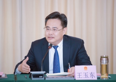 书记县（市区）长议报告说发展 | 平原县委书记王玉东：主动融入发展大局 扎扎实实稳健前行